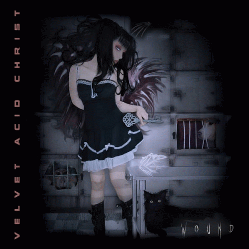 Velvet Acid Christ : Wound